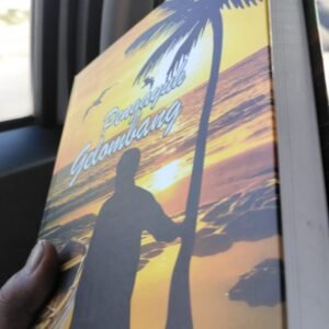 Novel Pengayuh Gelombang Karya Aswandi Asan